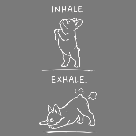 Inhale Exhale Funny French Bulldog Yoga Art Shirt