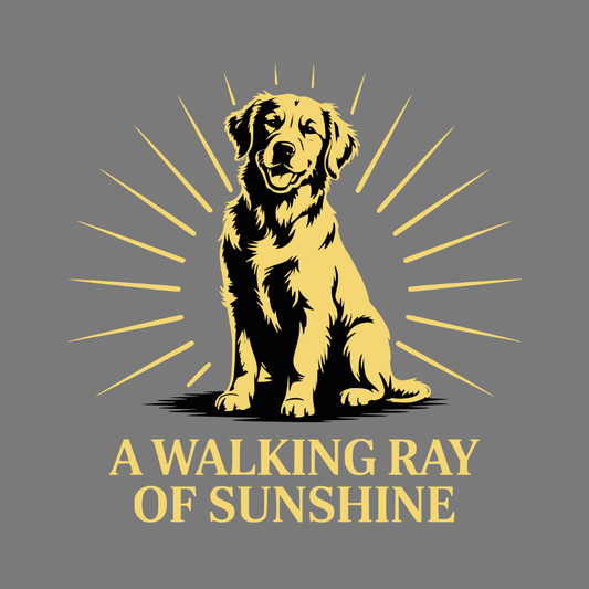 A Walking Ray of Sunshine Dog Lover Graphic Shirt