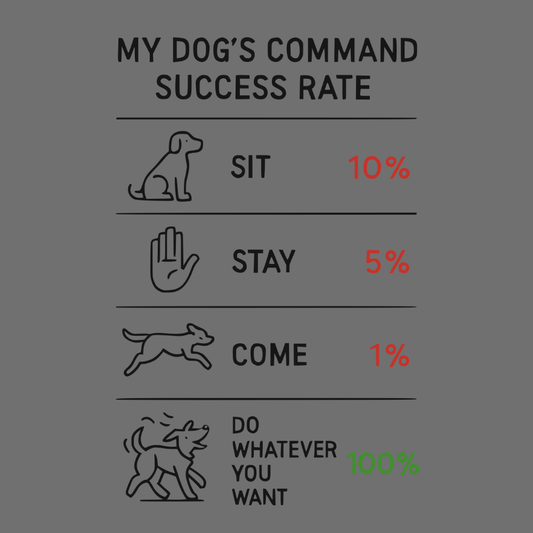 Funny Dog Commands Success Rate Graphic Art