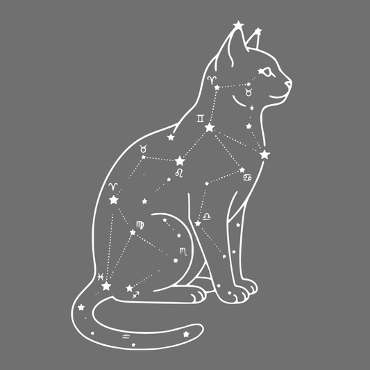 Celestial Constellation Cat Design on Grey Shirt