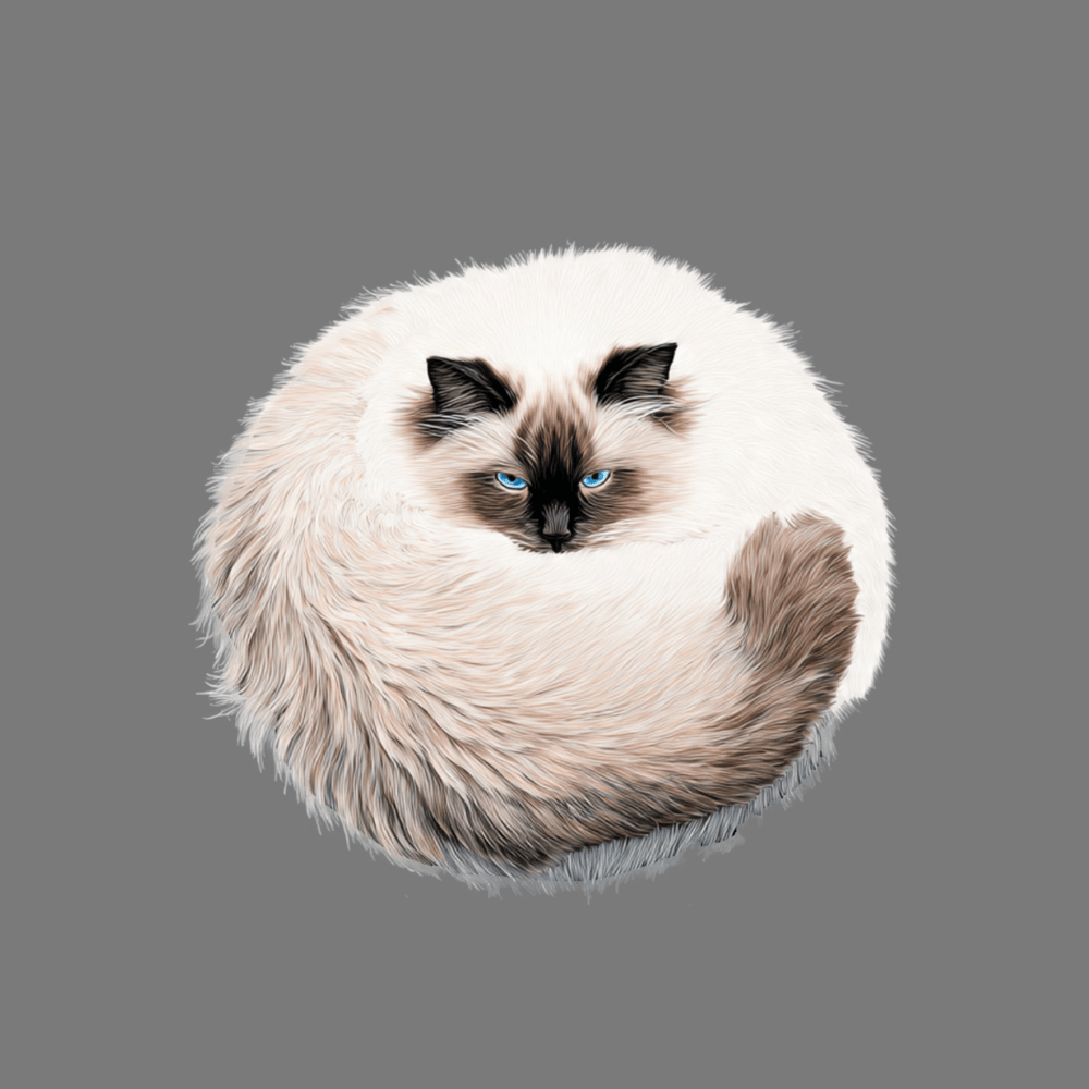 Fluffy Cancer Moon Cat Curled Up T-Shirt