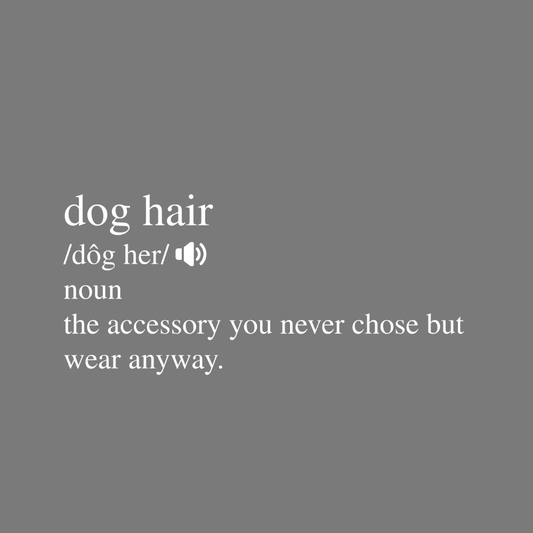 Dog Hair Funny Definition Grey Product