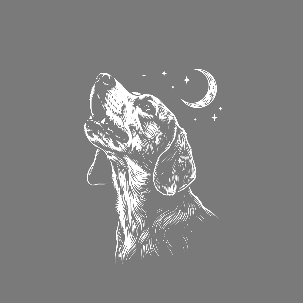 Dog Howling at Moon and Stars Night Artwork Product