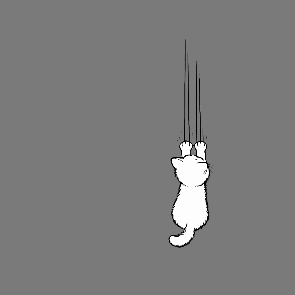 Cute White Cat Climbing on Grey Background Product