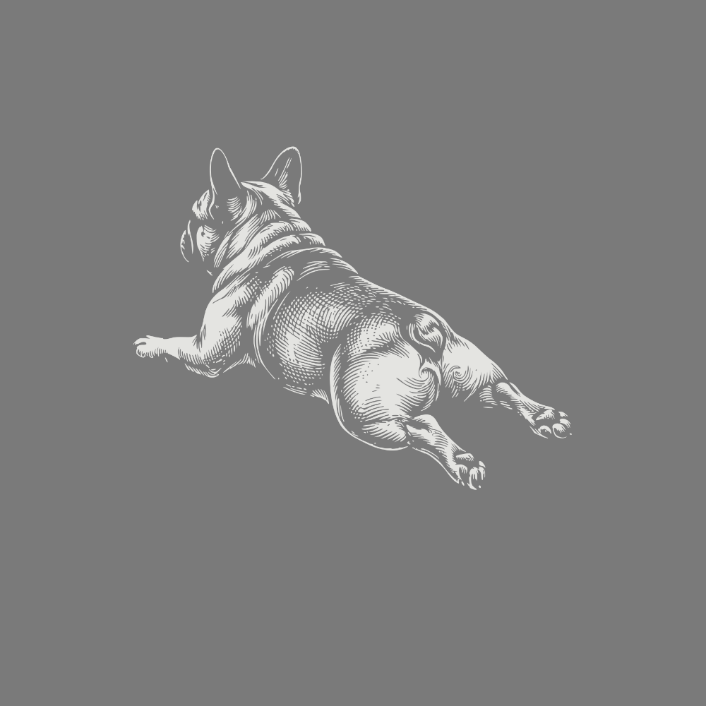 Bulldog Illustration on Grey Background Product