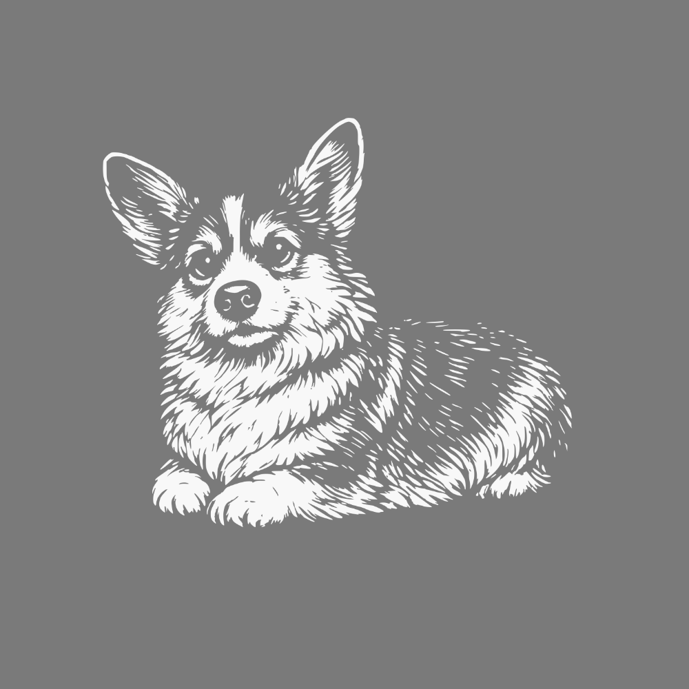 Detailed Corgi Illustration with Gray Background product