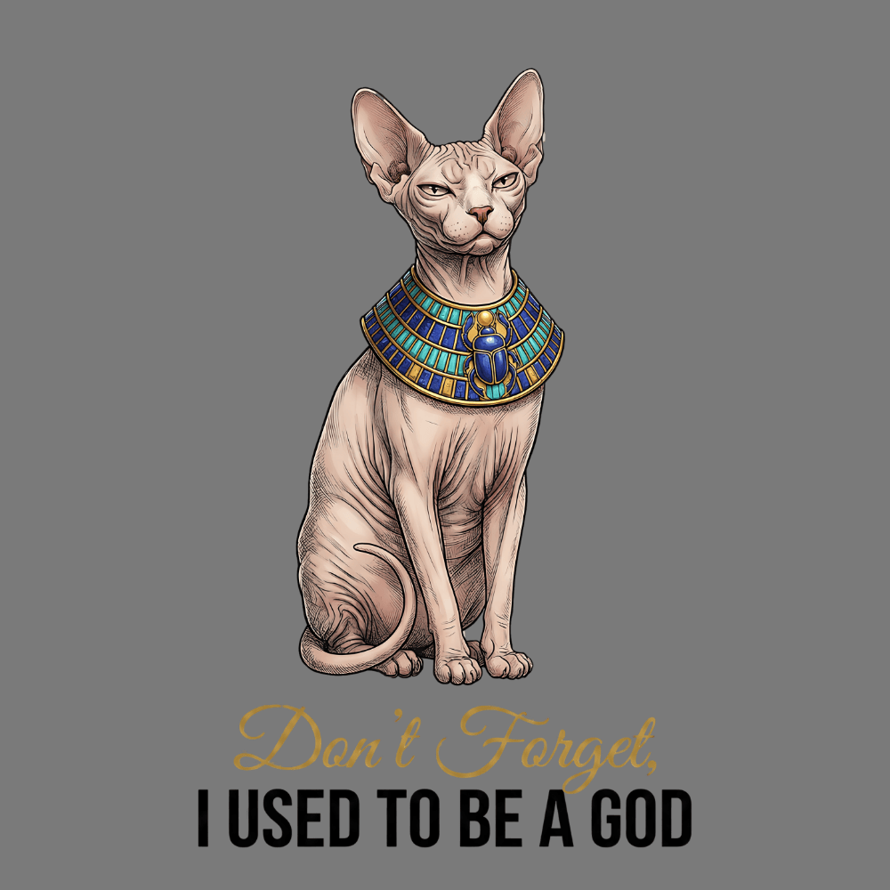 Forget God Sphynx Cat T-Shirt