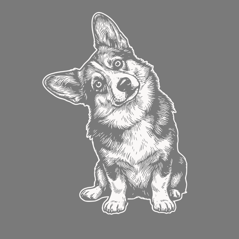 Adorable Corgi Illustration Gray Background Artwork