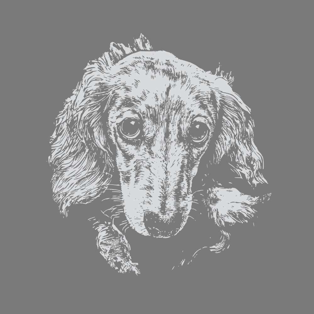 Realistic Dachshund Dog Illustration Art Product