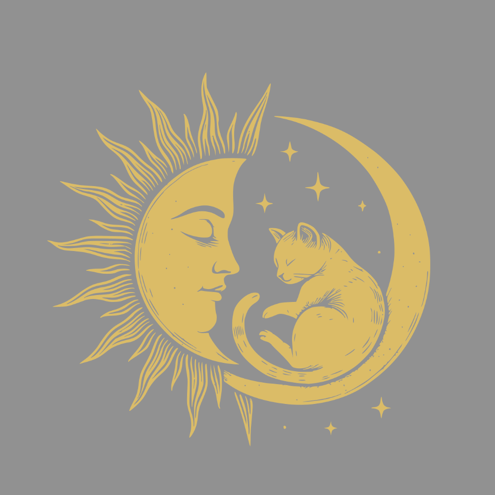 Enchanting Moon and Sun with Cat Illustration Art