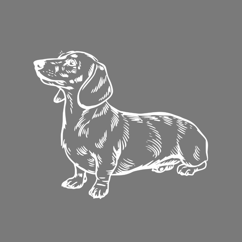 Adorable Dachshund Illustration on Gray Background Art Print