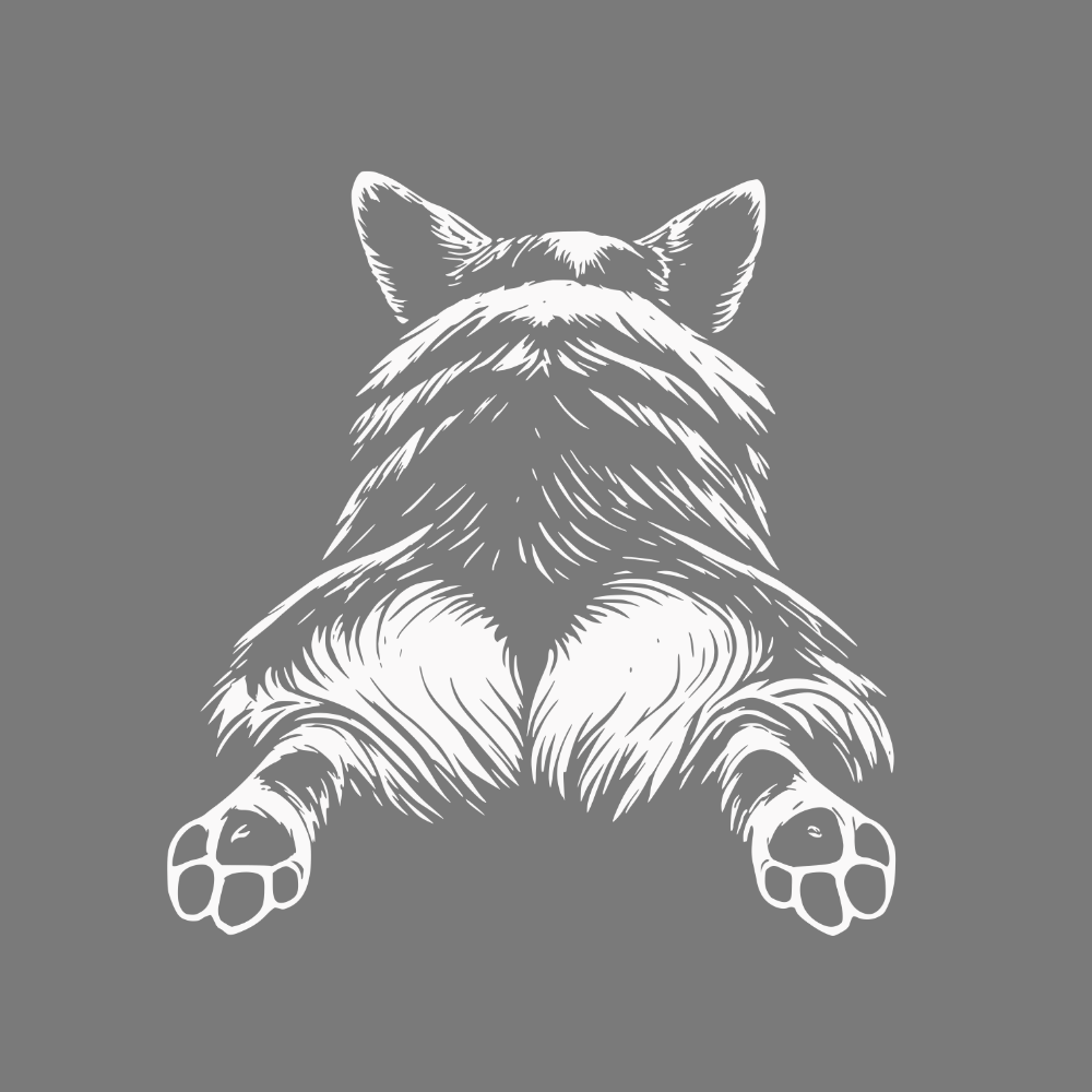 Cute Corgi Butt Illustration On Grey Background